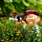 User Profile Photo