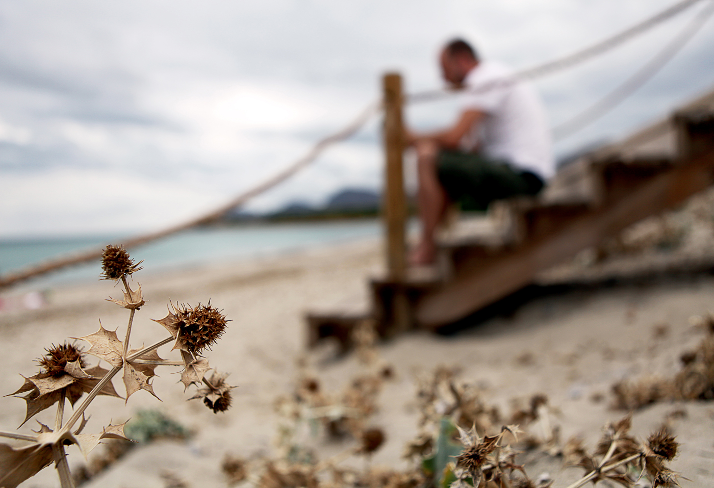 Heinzi am Strand