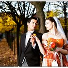 |__Heiraten im Wald__|