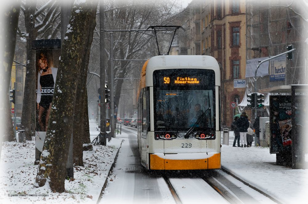 Heiß-kalte Haltestelle im Schnee | Mainz