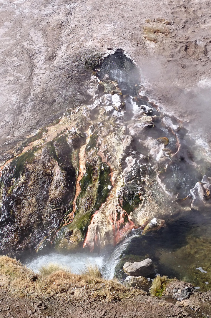 Heisse Quelle aus dem Geysierfeld von ElTatio