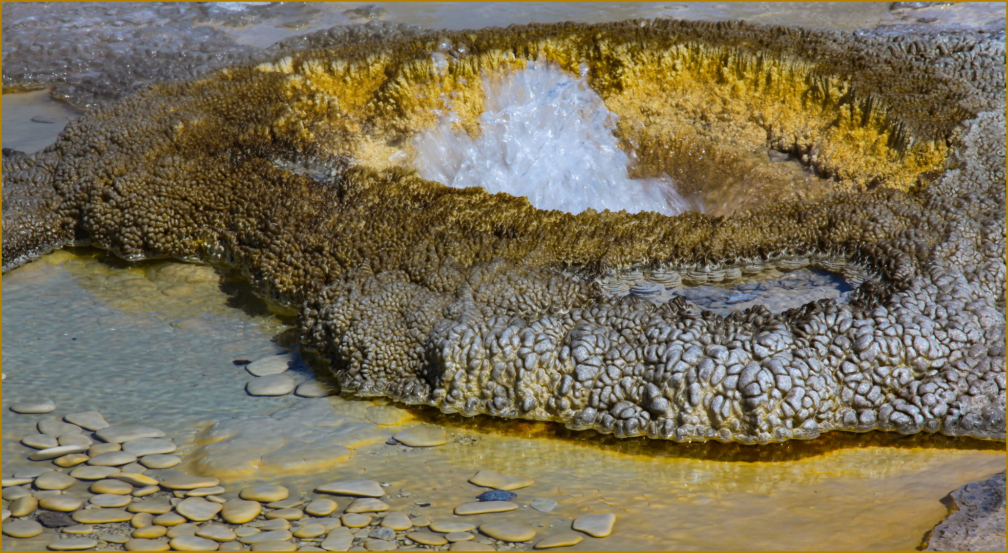 Heiße Quelle im Yellowstone NP