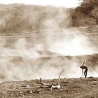 Heiße Quellen am Lake Shalla / Äthiopien