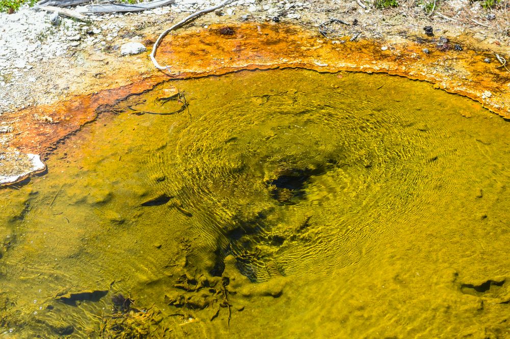 Heiße Quellen,  WestThumb Geisir Basin    DSC_3866-2