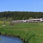 Heißer Flirt im Schwarzwald