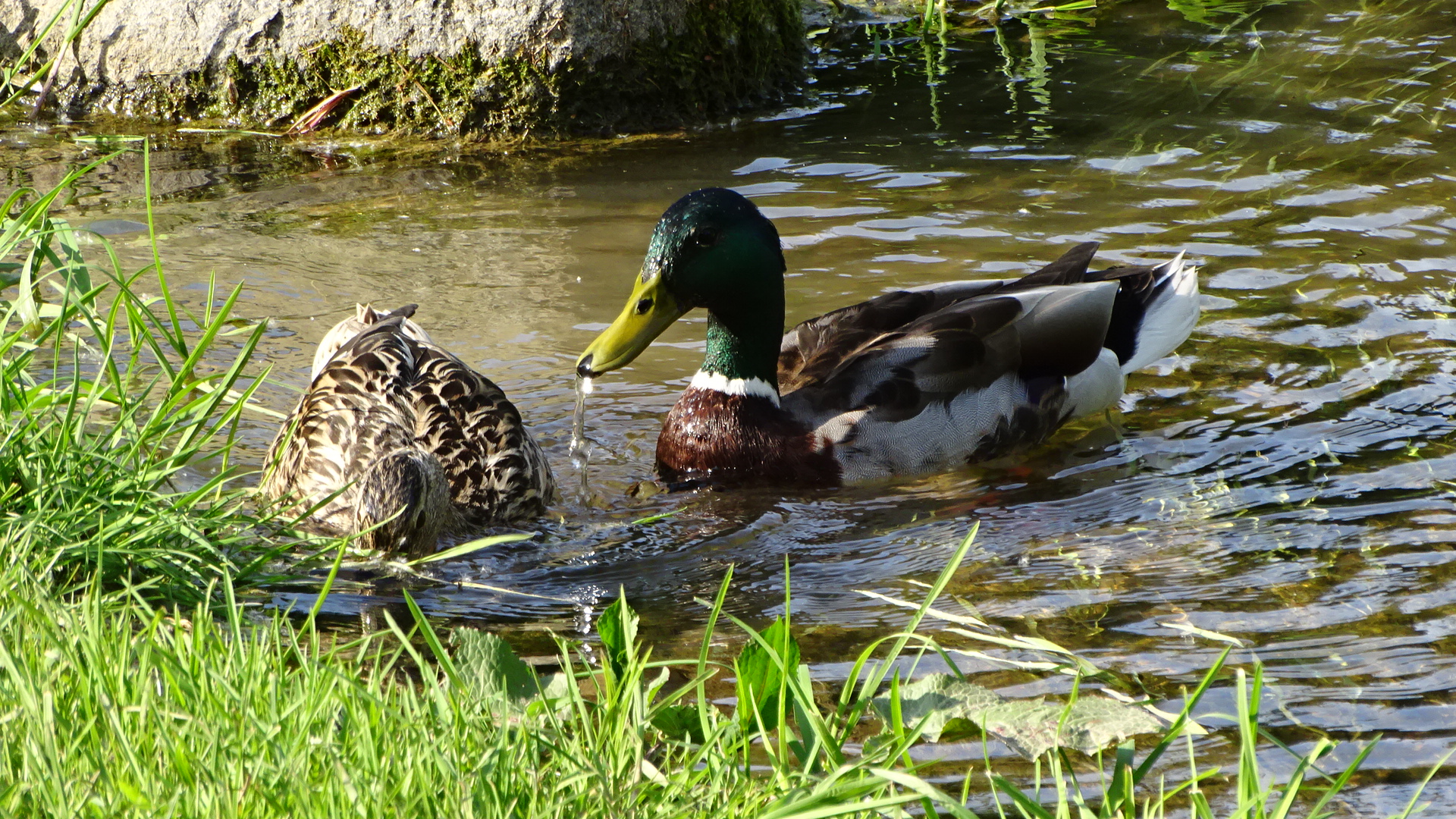 Heißer Frühling und ein külendes Bad im Fluß