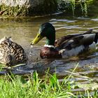 Heißer Frühling und ein külendes Bad im Fluß