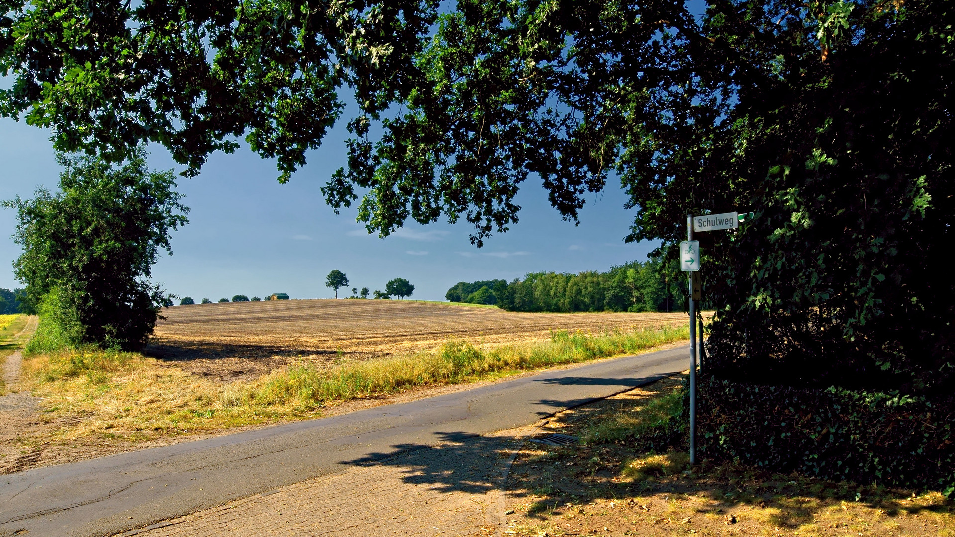 Heißer Schulweg !