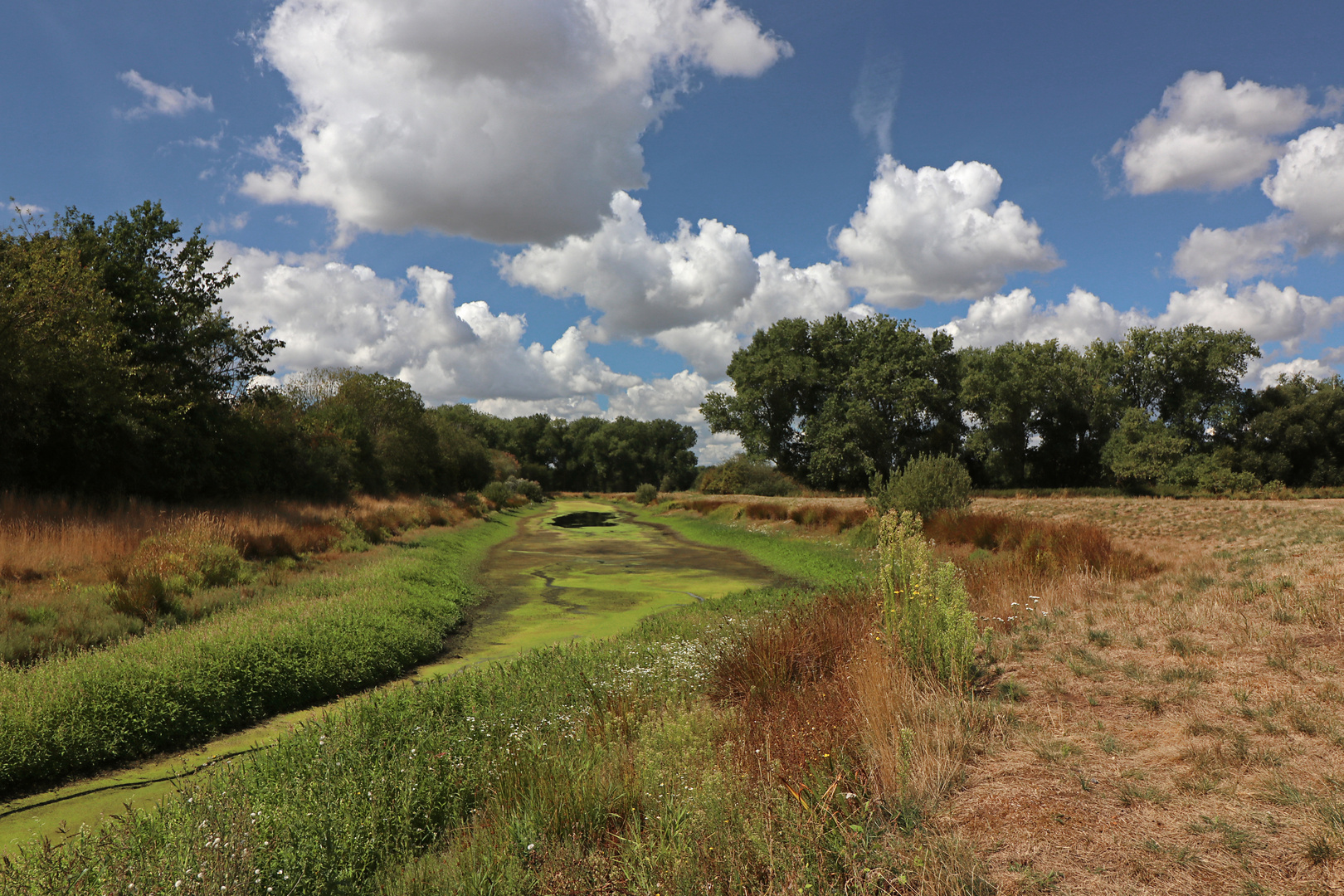 Heißer Sommer Foto & Bild spezial, landschaften, sommer Bilder auf
