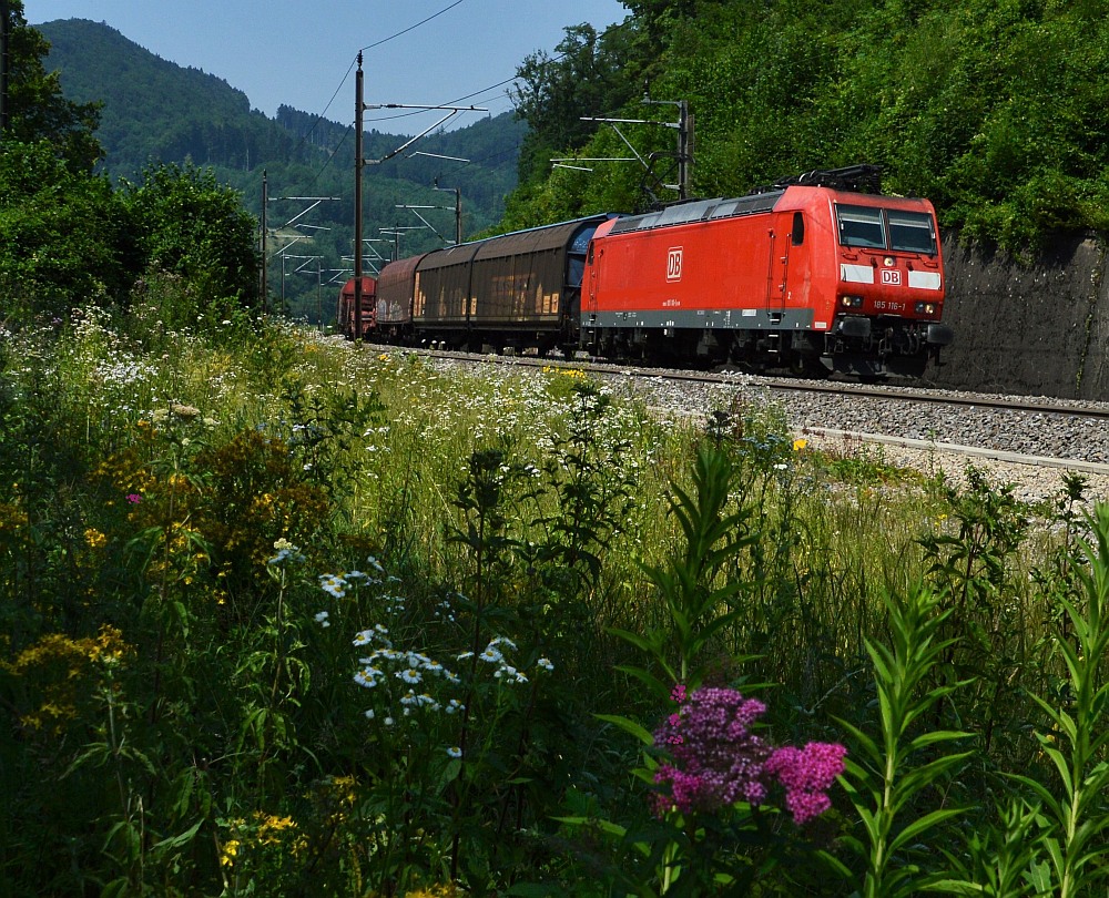 Dein Weg zum strahlenden Blogbeitrag: So fesselst du deine Leser!