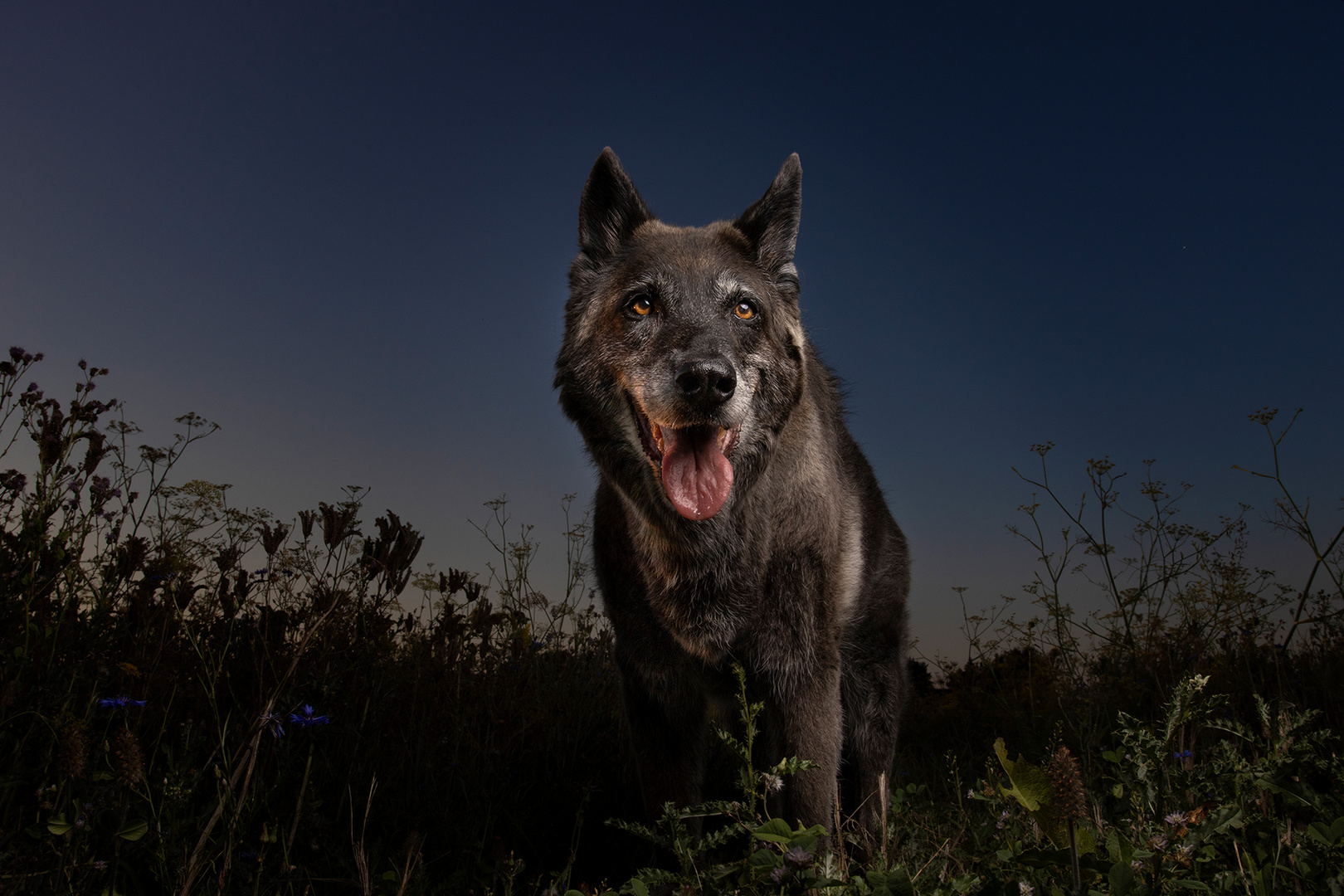 Heißer Sommerabend