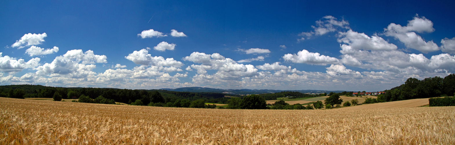 Heißer Sommertag