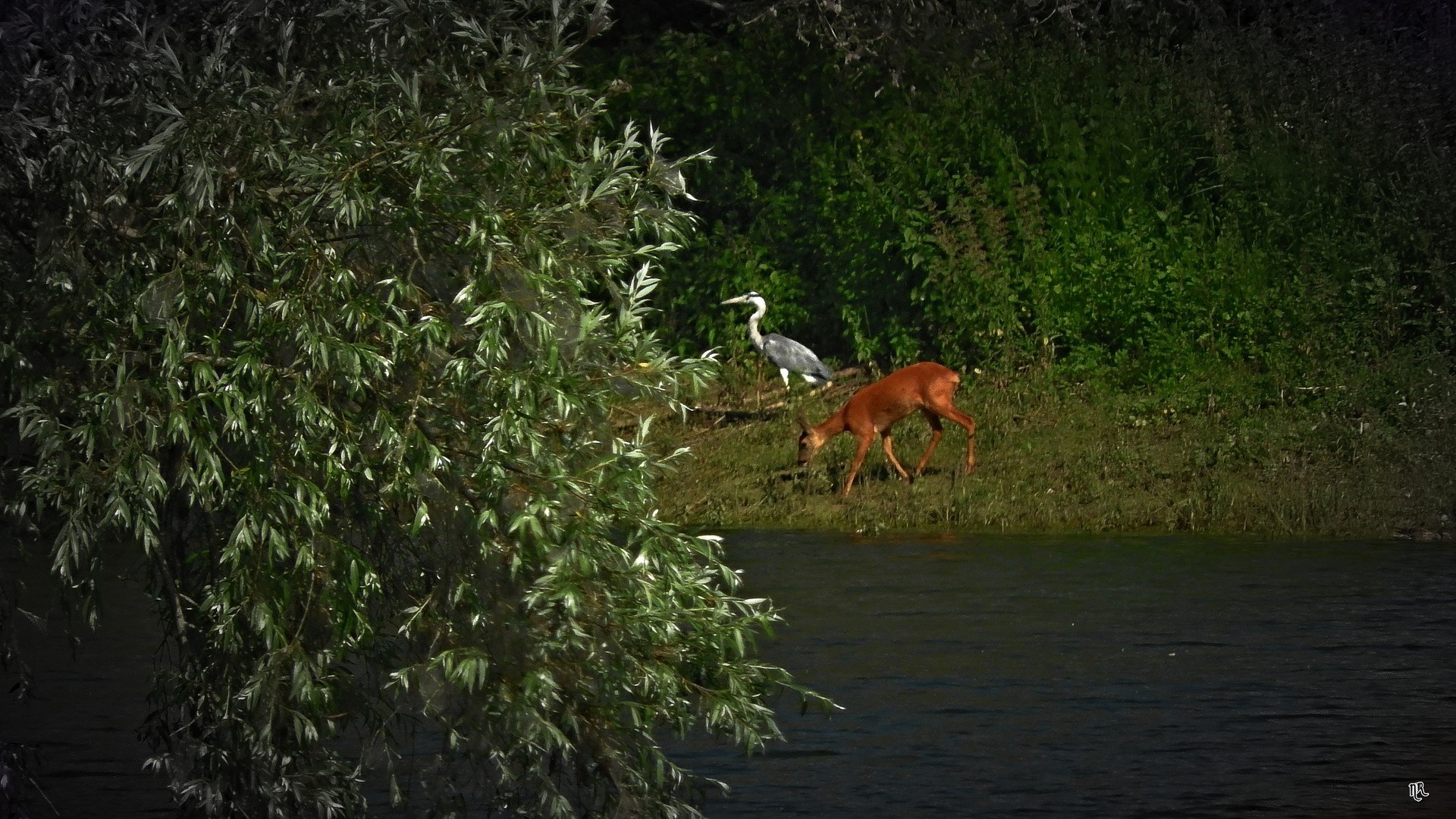 Heißer Sommertag am Niederrhein