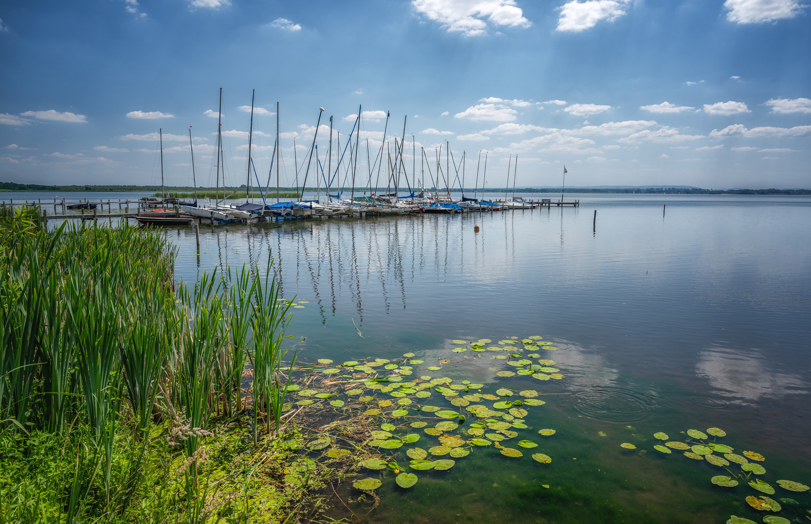 Heißer Sommertag am Steinhuder Meer