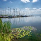 Heißer Sommertag am Steinhuder Meer