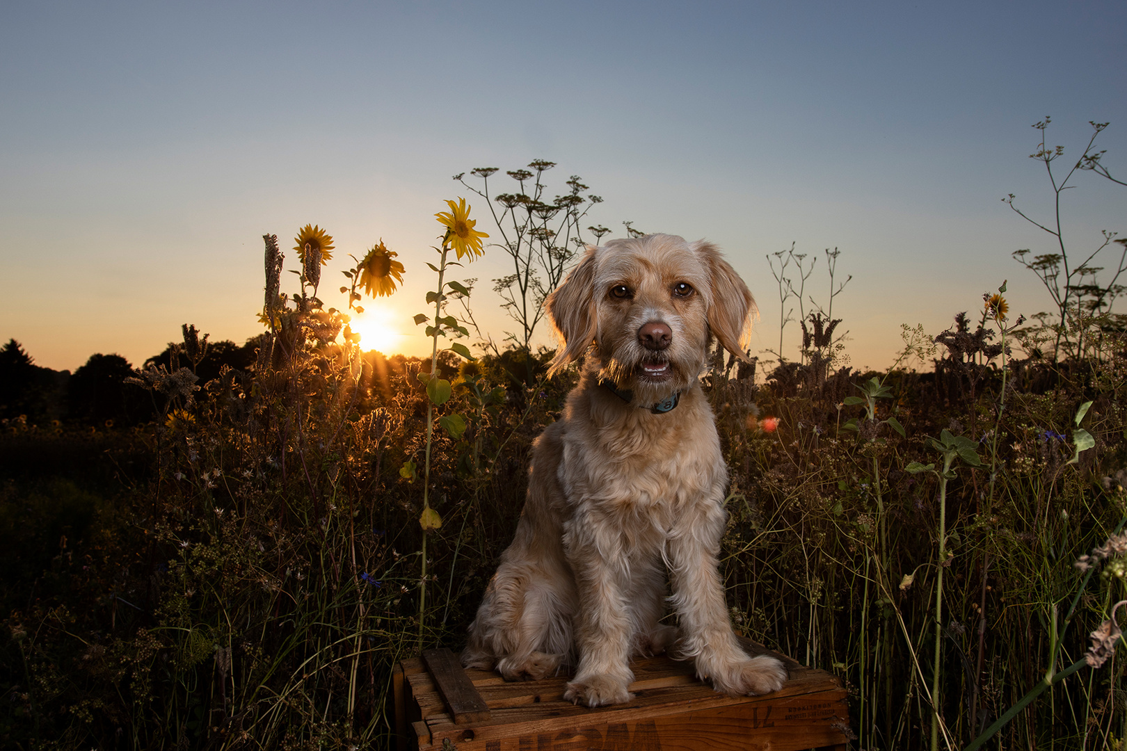 Heißer Sonnenuntergang