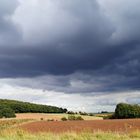 Heißersehnter Regen naht