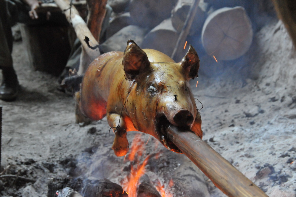 heißes Schwein am Stiel