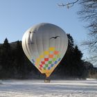 Heißluftballon D-OBEI