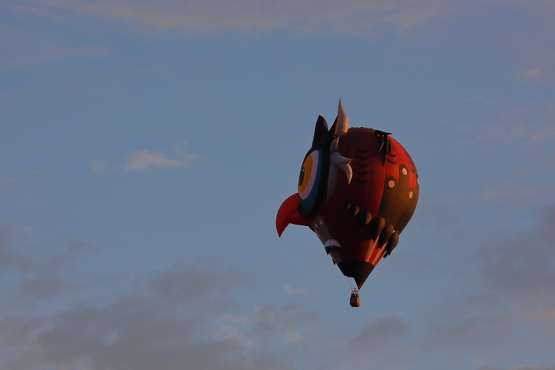 Heißluftballon Eule