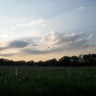 Heißluftballon im Abendgrauen