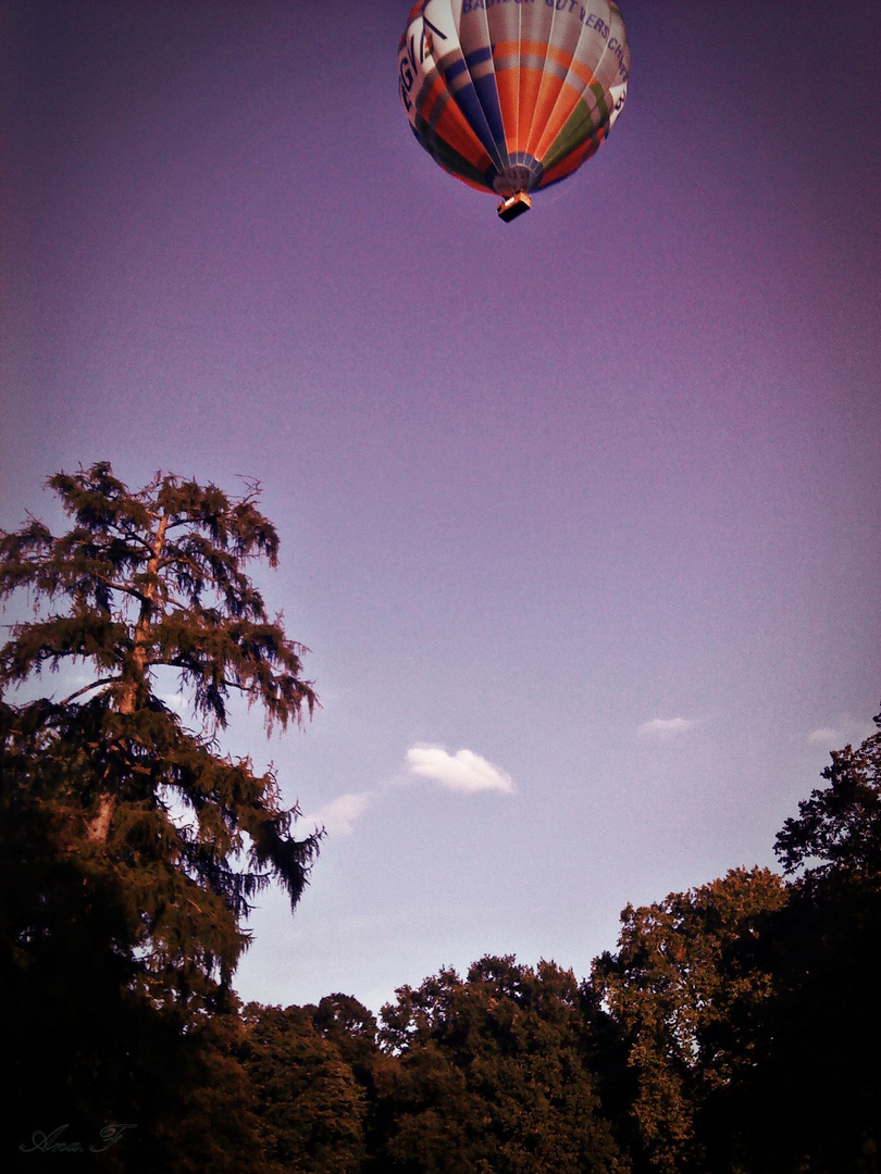 Heißluftballon im Schlossgarten