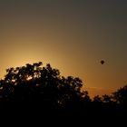 Heißluftballon im Sonnenuntergang