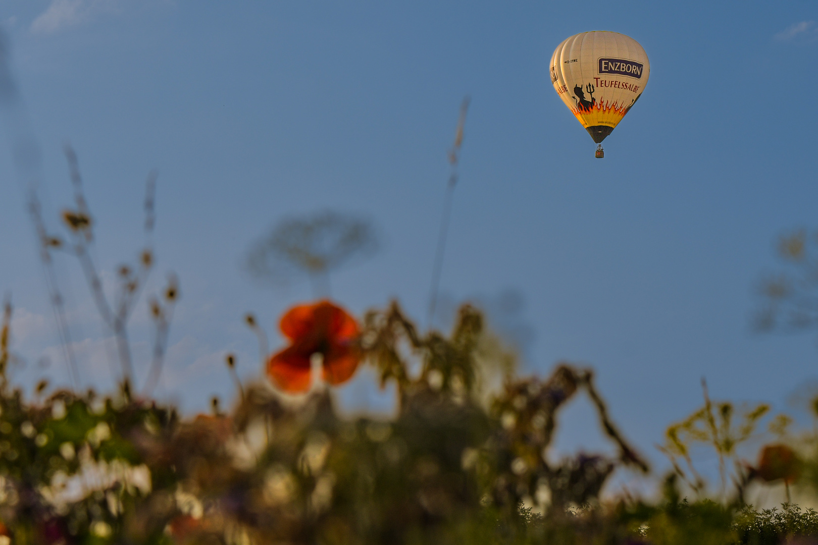 Heissluftballonfahrt im Sommer