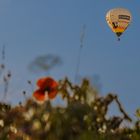 Heissluftballonfahrt im Sommer