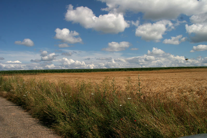 Heiter bis wolkig