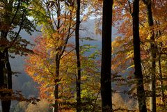 Heiteres Allerheiligenwetter