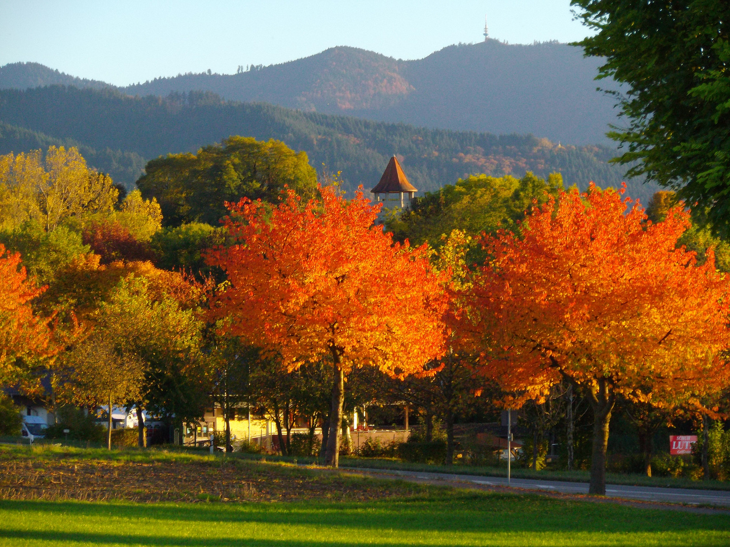 Heitersheimer Wasserturm im Herbstfeuer mit dem Hochblauen