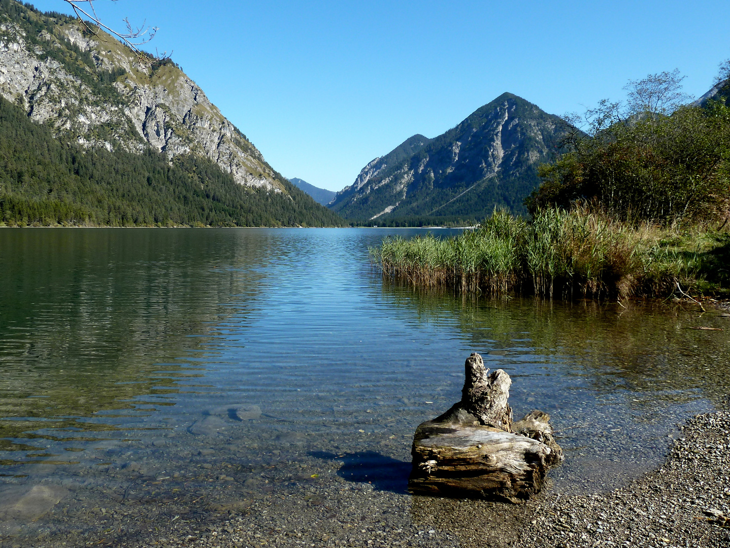 Heiterwangersee im Herbst