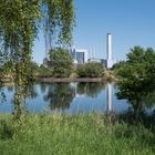 Heizkraftwerk Tiefstack, Blick von Kaltehofe