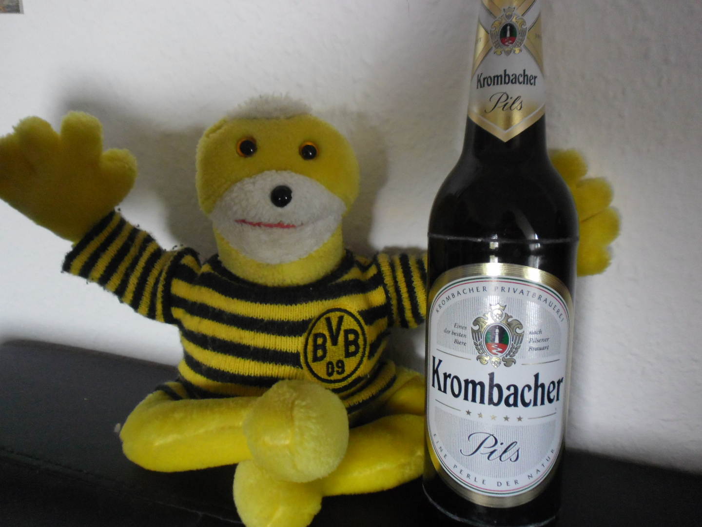 HEJA BVB !!!! PROST !!!!!!