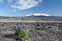 Hekla, Island