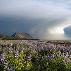 Hekla Vulkangebiet, Island