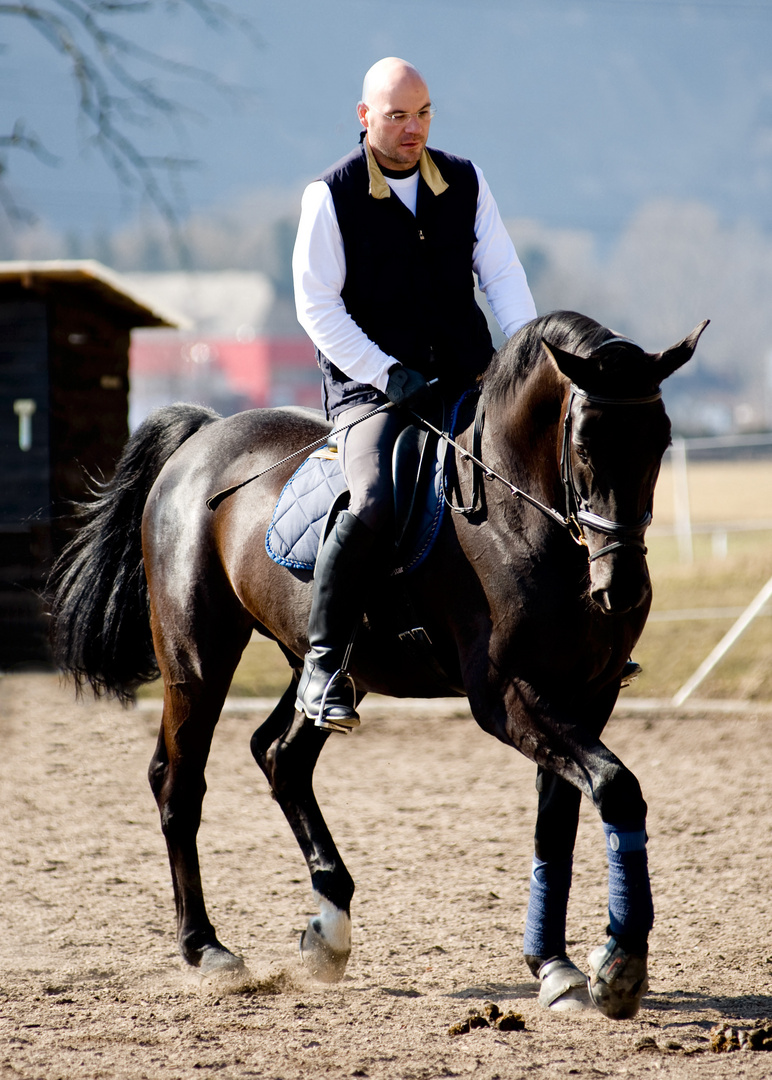 hektor beim dressurtraining