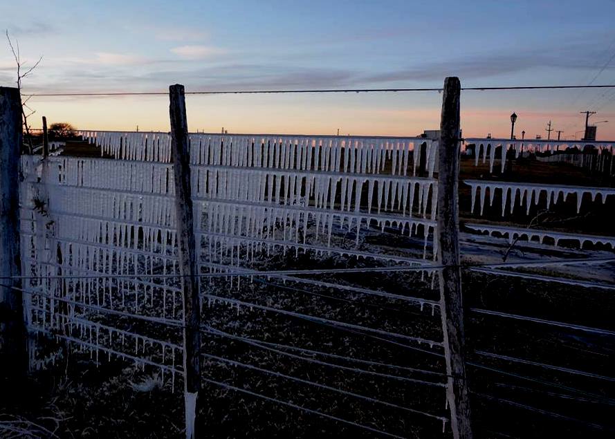 heladas en La Pampa