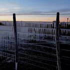 heladas en La Pampa