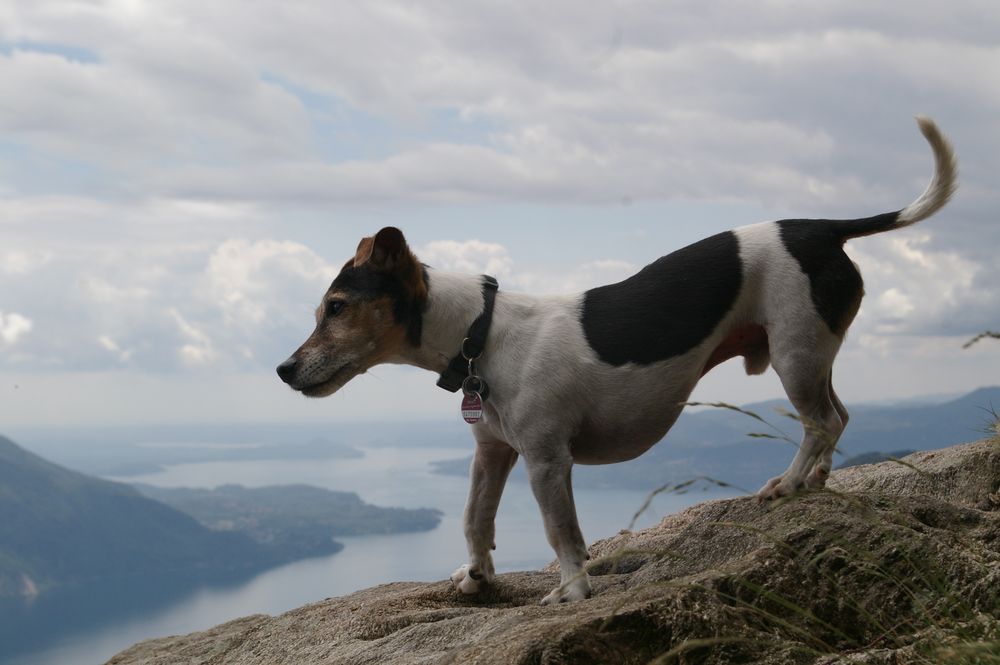 Held der Berge