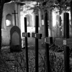 Helden aus alten Tagen - Petersfriedhof in Straubing