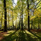 "Heldenfriedhof"