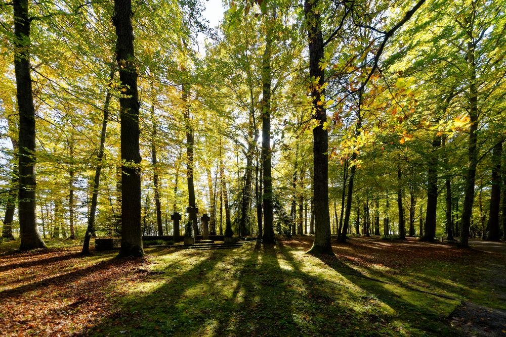 "Heldenfriedhof"