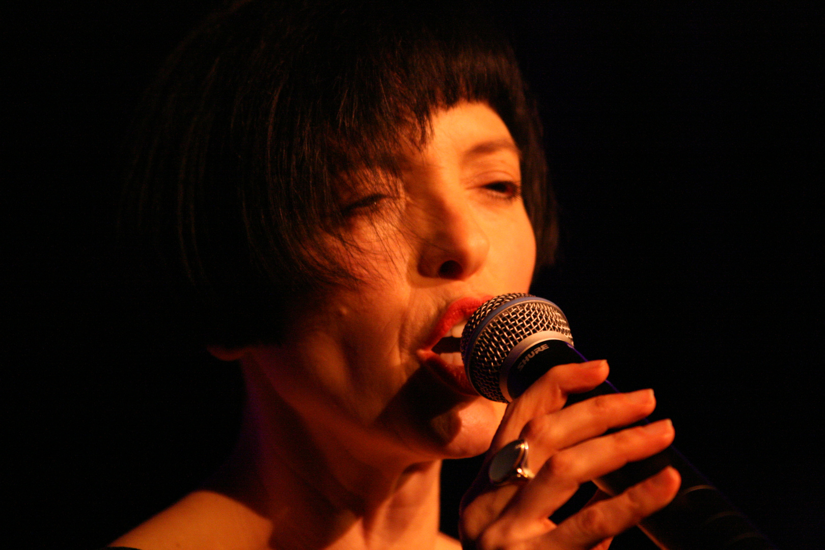 Helen Schneider in concert