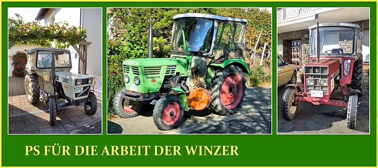 Helfer der Winzer