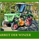 Helfer der Winzer