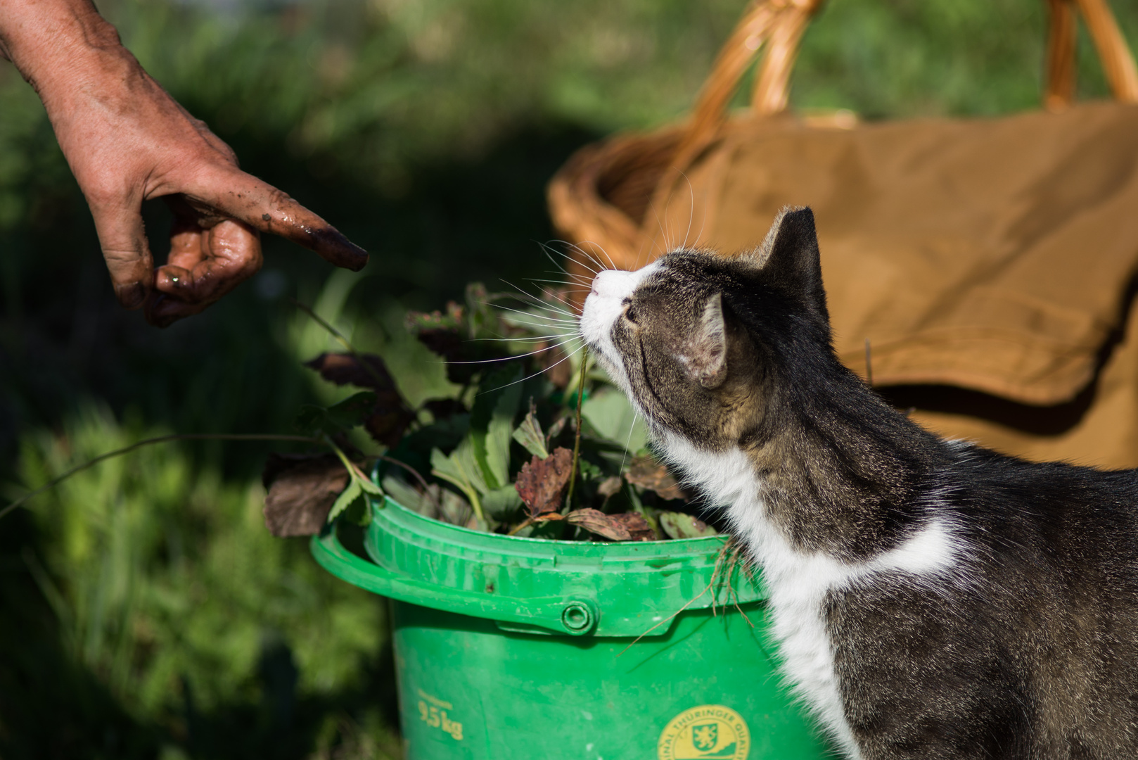 Helfer mit Fell bei der Gartenarbeit