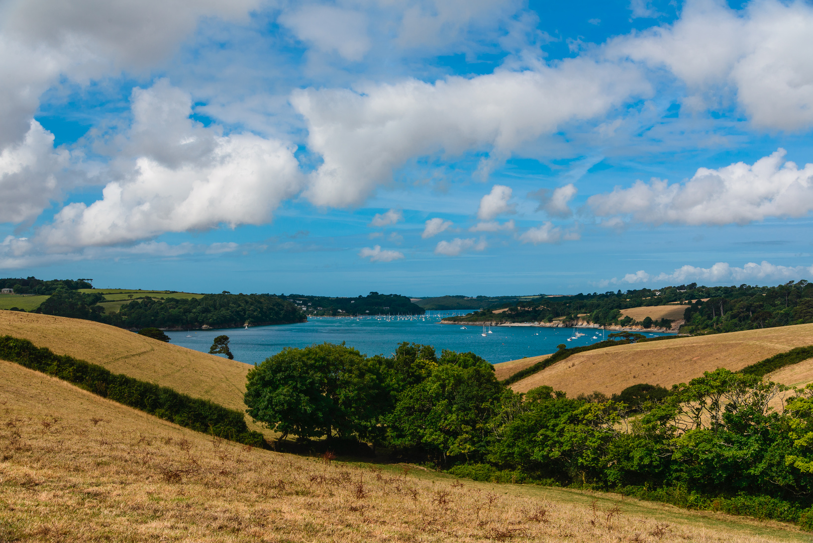 [ Helford River, from Trerose Estate ]