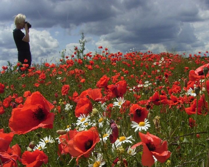 Helga im Mohn